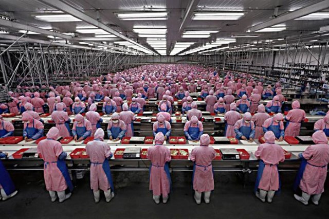 low-wage-factory-workers