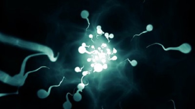 stock-footage-animation-of-swimming-sperm-towards-the-camera-traveling-through-the-body-to-be-the-first-to-get