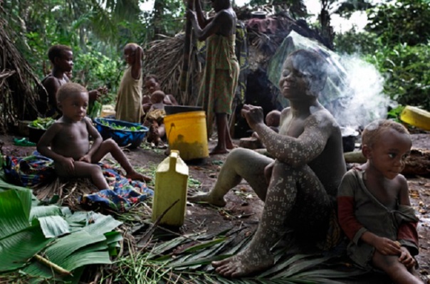 Mbuti Pygmies at a forest hunting camp.